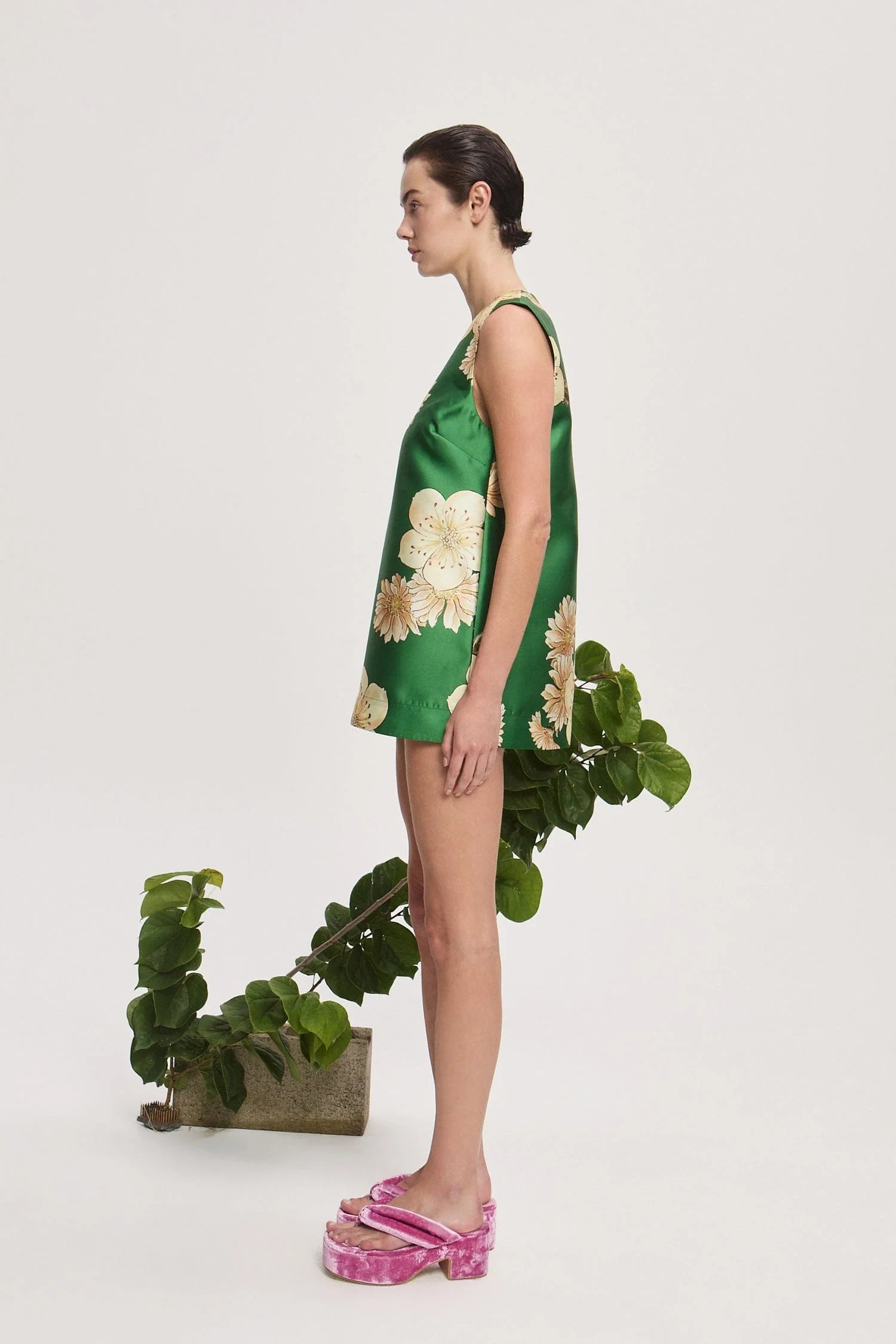 SAGE TOP